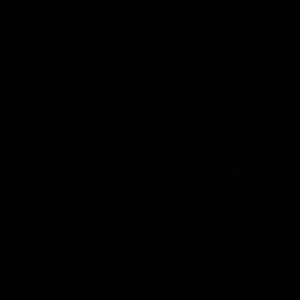 Meet your Posher, Destinee